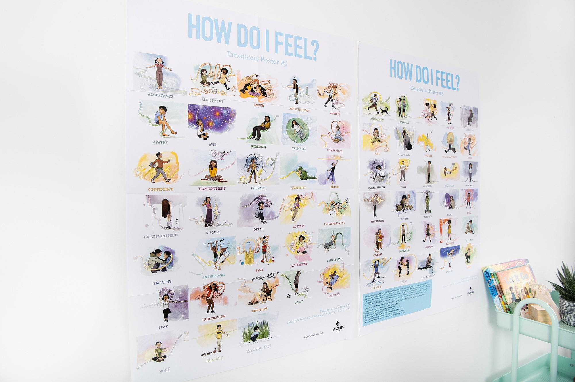 collection-banner-image