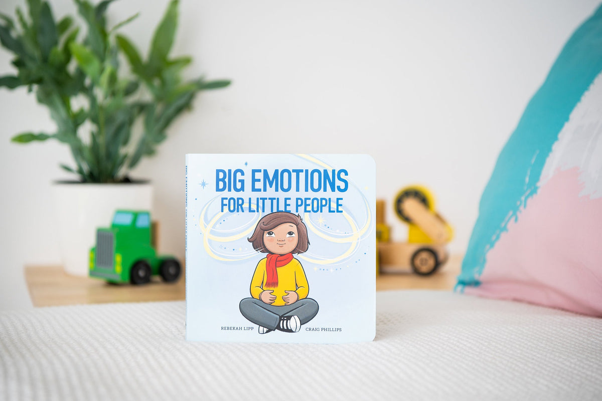 Big Emotions for Little People Board Book – Wildling Books